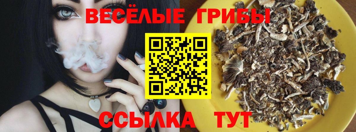 Псилоцибиновые грибы Psilocybe  Псилоцибиновые грибы MAGIC MUSHROOMS  Вход с VPN  магазин продажи   Новодвинск 